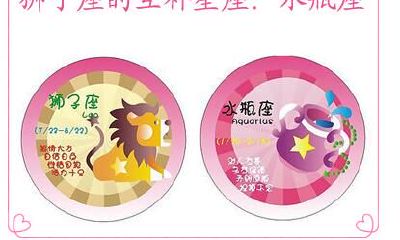 狮子座的互补星座：水瓶座