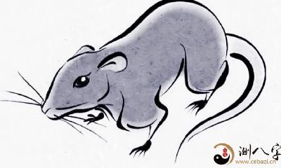 十二生肖之中财运滚滚来