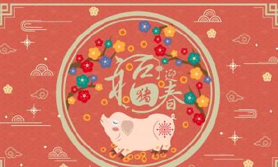 己亥年猪宝宝出生取名大全,己亥年是什么年份？