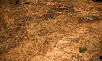 2019年己亥猪年宝宝五行起名大全,己亥猪年五行属什么？