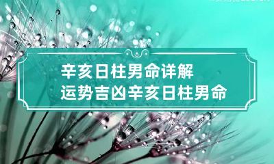 辛亥日柱男命详解运势吉凶 辛亥日柱男命三命通会