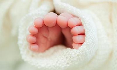 属猪宝宝起什么名字好听？属猪宝宝起名忌用字一览！