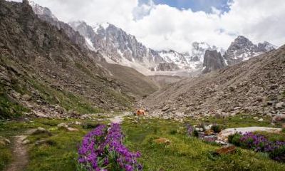 2020年小年出生五行缺水的男孩名字，五行起名推荐