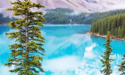 今年出生的猪宝宝五行缺什么，名字怎么起？