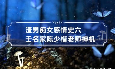 渣男痴女感情史 六壬名家陈少楷老师神机妙算