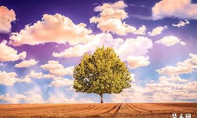 益姓源于哪个姓氏？迁徙分布过程是怎么样的？