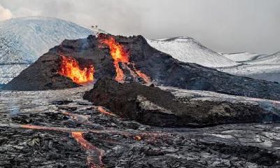 猪年出生的宝宝五行缺什么？怎么起名字？