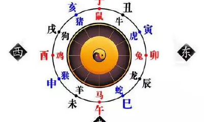 属猴办公室怎样摆放