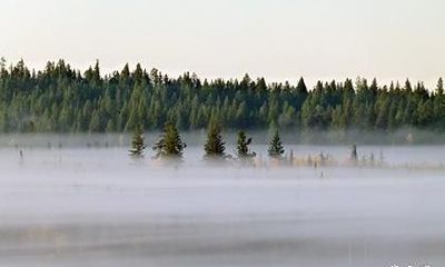 公姓的起源与历史，公姓目前有多少人？