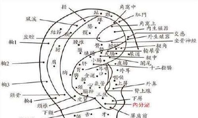 耳朵有痣的女人命运图解 从痣相看女性命运