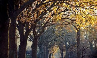 公姓姓氏名望，公姓明星简介