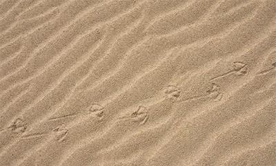 2021年1月20日腊八节出生男孩五行缺金起名