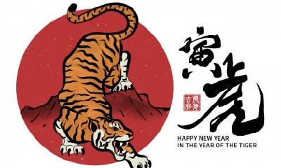 2022年农历四月出生虎宝宝陈姓取名