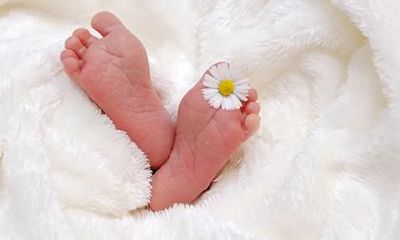 2022虎宝宝取名禁忌，属虎起名字适合用的字有哪些？