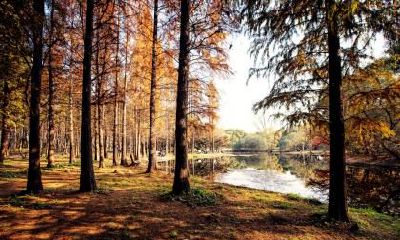 小满不能做什么？2021年小满出生五行缺什么怎么起名？