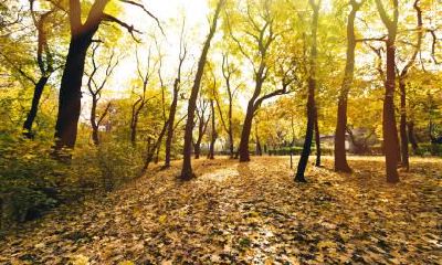 2021年1月25出生男孩五行缺火名字精选！