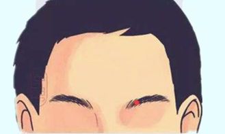 聚财痣，身体几大吉痣，收入高，积蓄多，福禄寿全