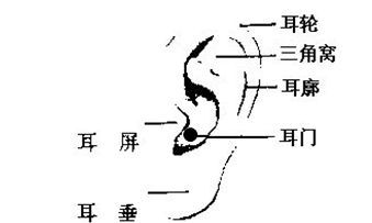 女人耳朵长痣面相图 这个位置有痣的女人暗财涌动