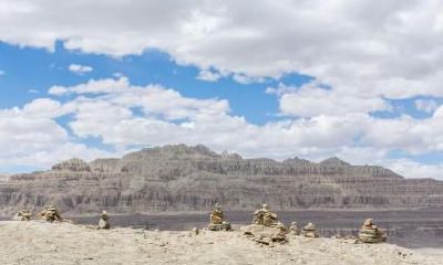 五行缺土的猪宝宝取名大全