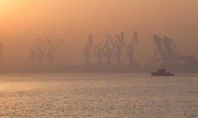 五行缺金的猪宝宝取名大全