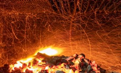 2021年1月29日出生男孩五行缺木带诗意的名字精选