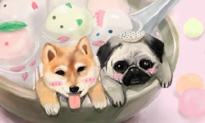 立春出生的属狗人命运，立春出生性格命运解析