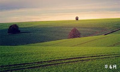 温姓古代姓氏名望，有温姓明星吗？