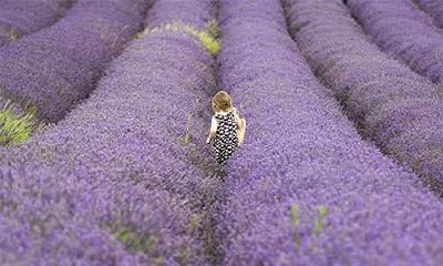 2022年虎女宝宝姓叶的名字，取什么名字好听？