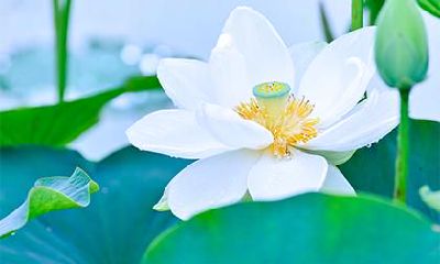 2021年2月2日出生女孩五行缺木起什么名字好听？