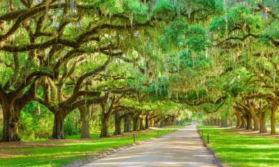 2020年1月17日小年女孩五行缺土起名字精选！