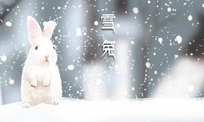 属虎的女孩乳名小名大全，虎年女宝宝可爱小名