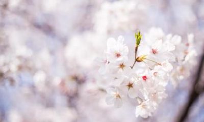 2021年立春如何养生？立春吃韭菜有什么好处？