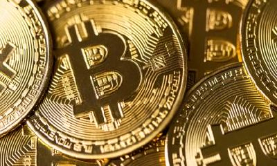 2021农历七月五行属性，农历七月的牛宝宝取什么名字好？