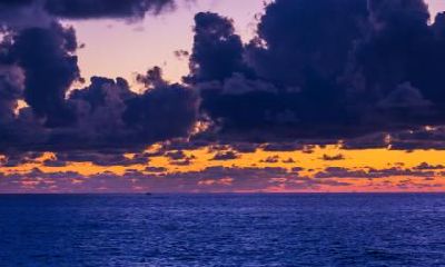 土命五行取名，土命五行起名宜用字大全