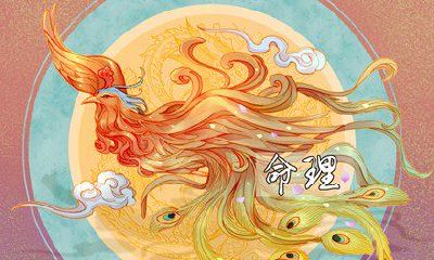 生日八字看结婚日子可以如何看