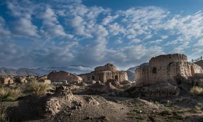 2021牛年农历七月五行属什么？农历七月牛宝宝名字