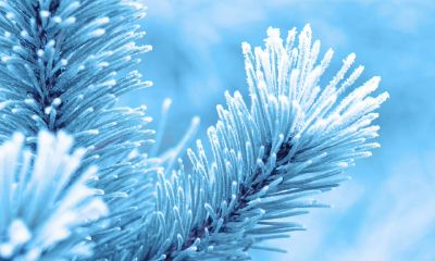 2022年冬季的农历开业吉日，适合开张的黄道吉日一览