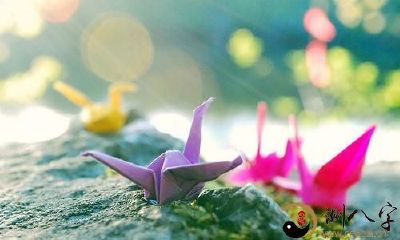 生肖兔：将来的运气如何？