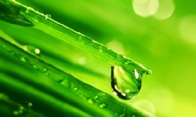 白露之后还下雨吗？白露物侯