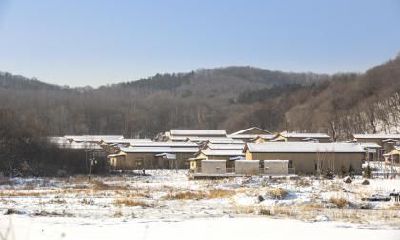 生肖属狗的人冬至节气出生命运如何？