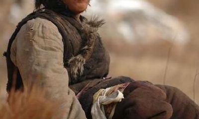 这三大属相，先经过贫困潦倒，后享富贵荣华