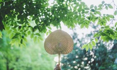 小寒节气出生的名人有哪些？小寒节气的注意事项