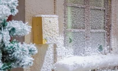 二十四节气大雪出生的名人伟人有哪些？