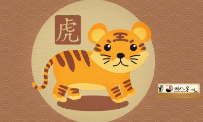 2022年属虎几月出生好
