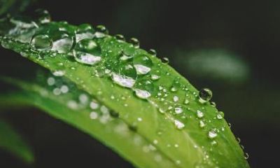 2018年白露日子好吗？白露是什么？