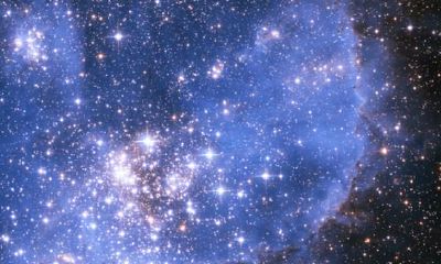 对的爱情，不需要你太懂事！