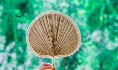 大雪节气是要下大雪的意思吗？2021年大雪具体时辰是几点几分？