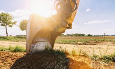 白露农事怎么安排？白露适合什么农事活动？