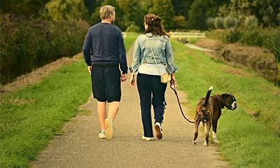 2022年属兔人的不利方位查询，不宜做什么事？