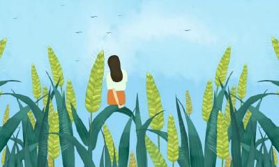 不同年份大雪节气出生的属猪人命理解析！